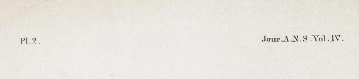 2013.0024.010 Print, detail 1