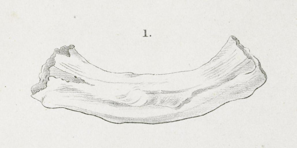 2013.0024.010 Print, detail 2