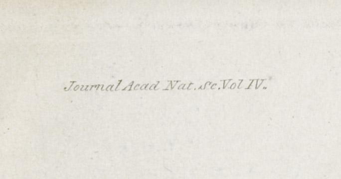 2013.0024.011 Print, detail 2