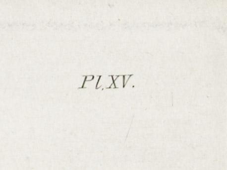 2013.0024.011 Print, detail 3