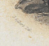 2012.0013.030 Print, Detail 4