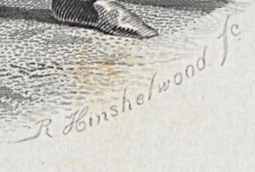 2012.0013.031 Print, Detail 5