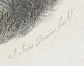 2012.0013.035 Print, Detail 5