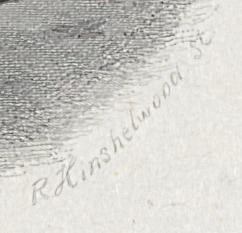 2012.0013.039 Print, Detail 6