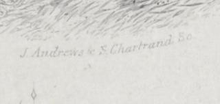 2012.0013.041 Print, Detail 5