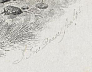 2012.0013.043 Print, Detail 5