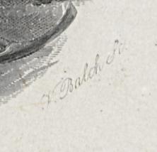 2012.0013.044 Print, Detail 5
