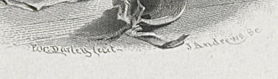 2012.0013.049 Print, Detail 5