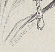 2012.0013.057 Print, Detail 4