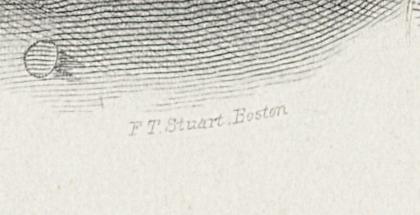 2012.0013.069 Print, Detail 3