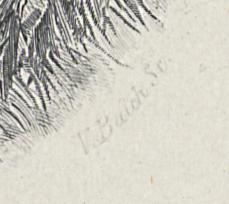2012.0013.072 Print, Detail 5