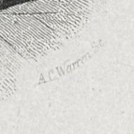 2012.0013.076 Print, Detail 6