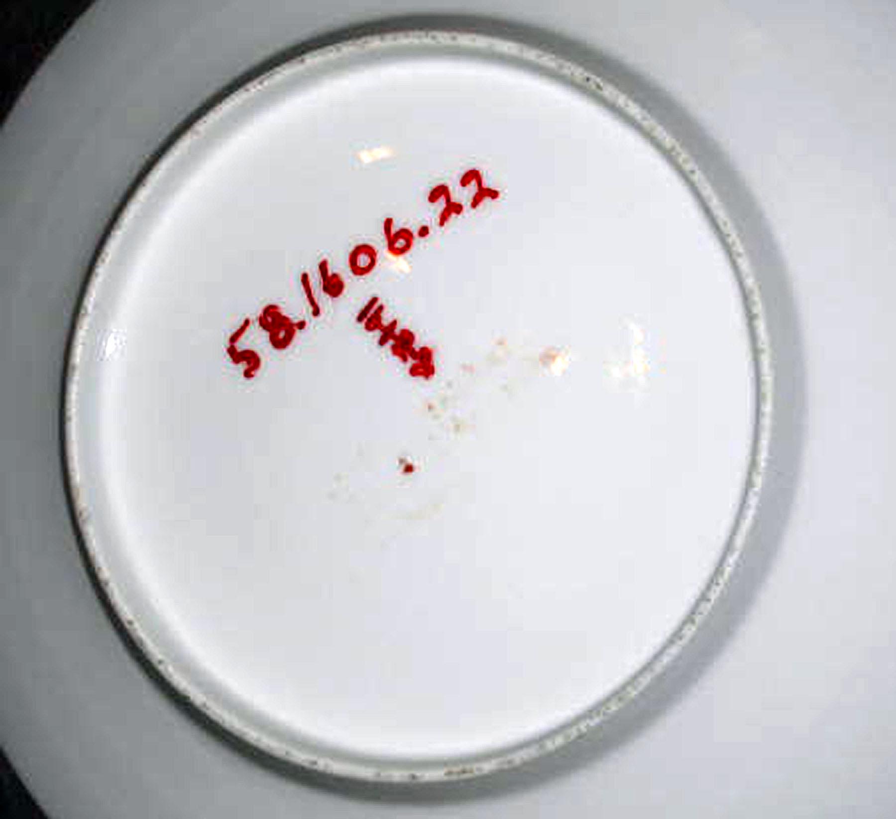 1958.1606.022 Porcelain dessert plate (underside)