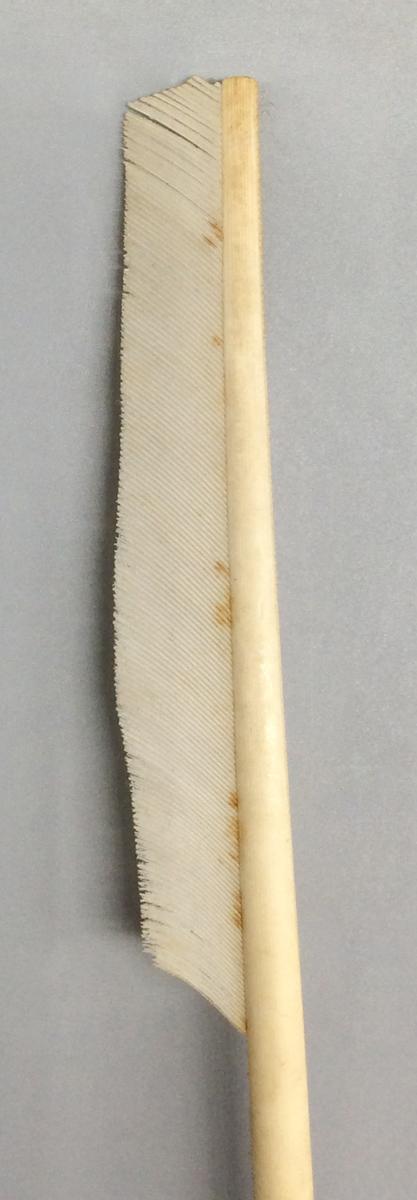 1958.2007 Pen, detail 1