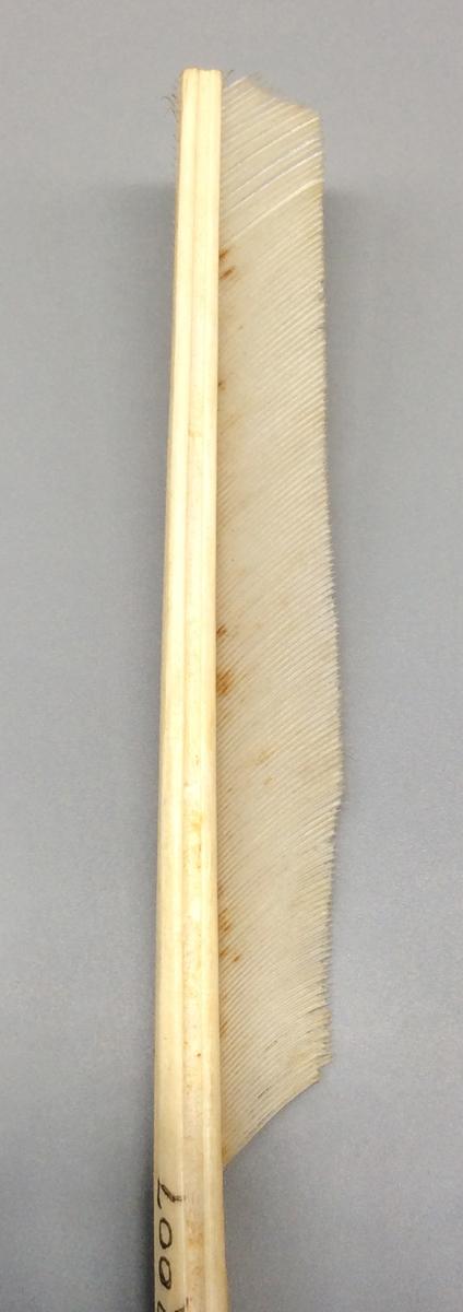 1958.2007 Pen, detail 2