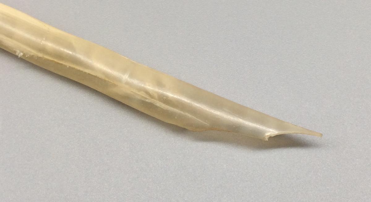1958.2007 Pen, detail 3