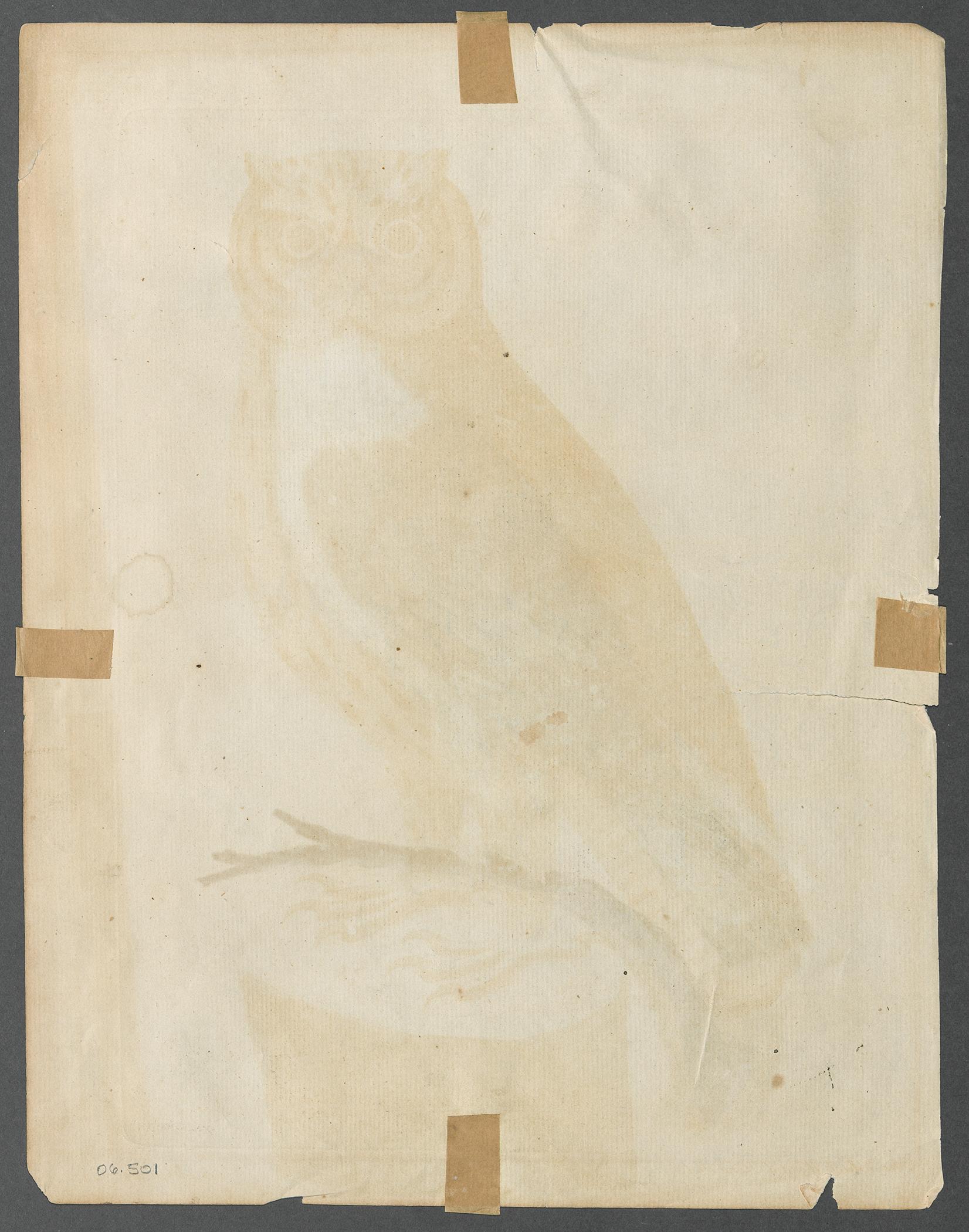 2006.0501 Print, view 2, reverse