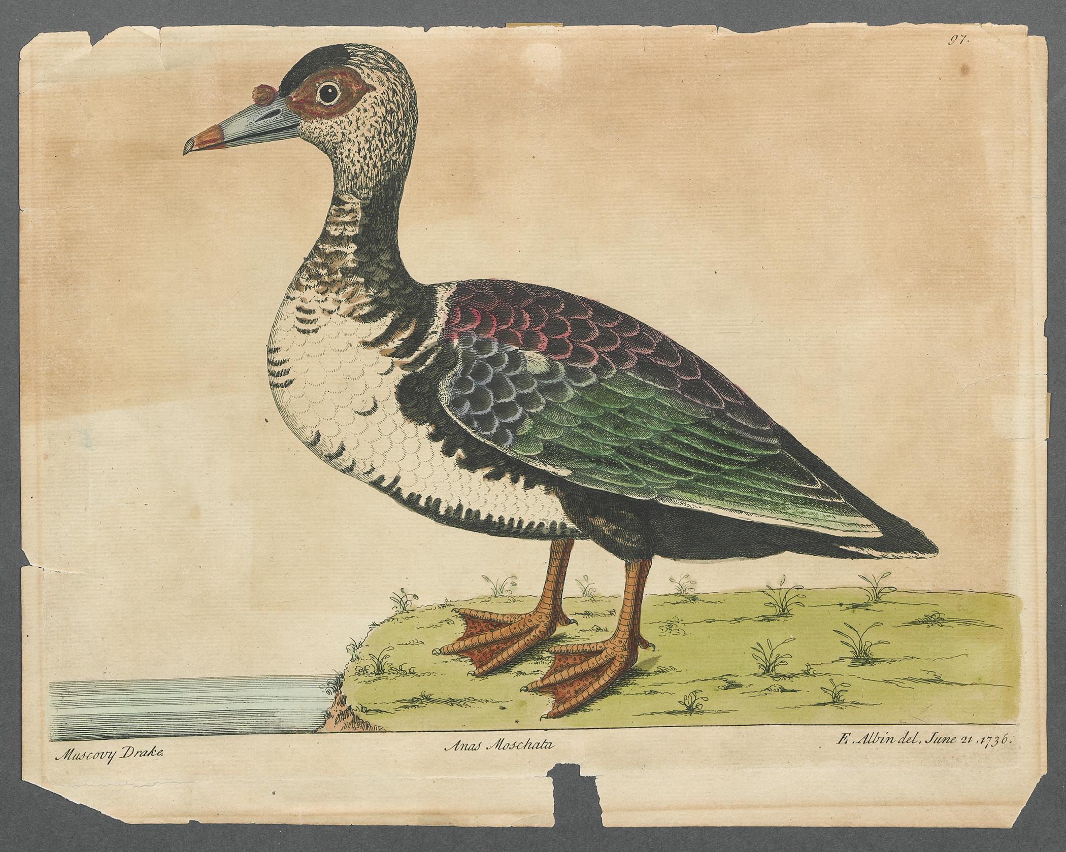 2006.0503 Print, view 1