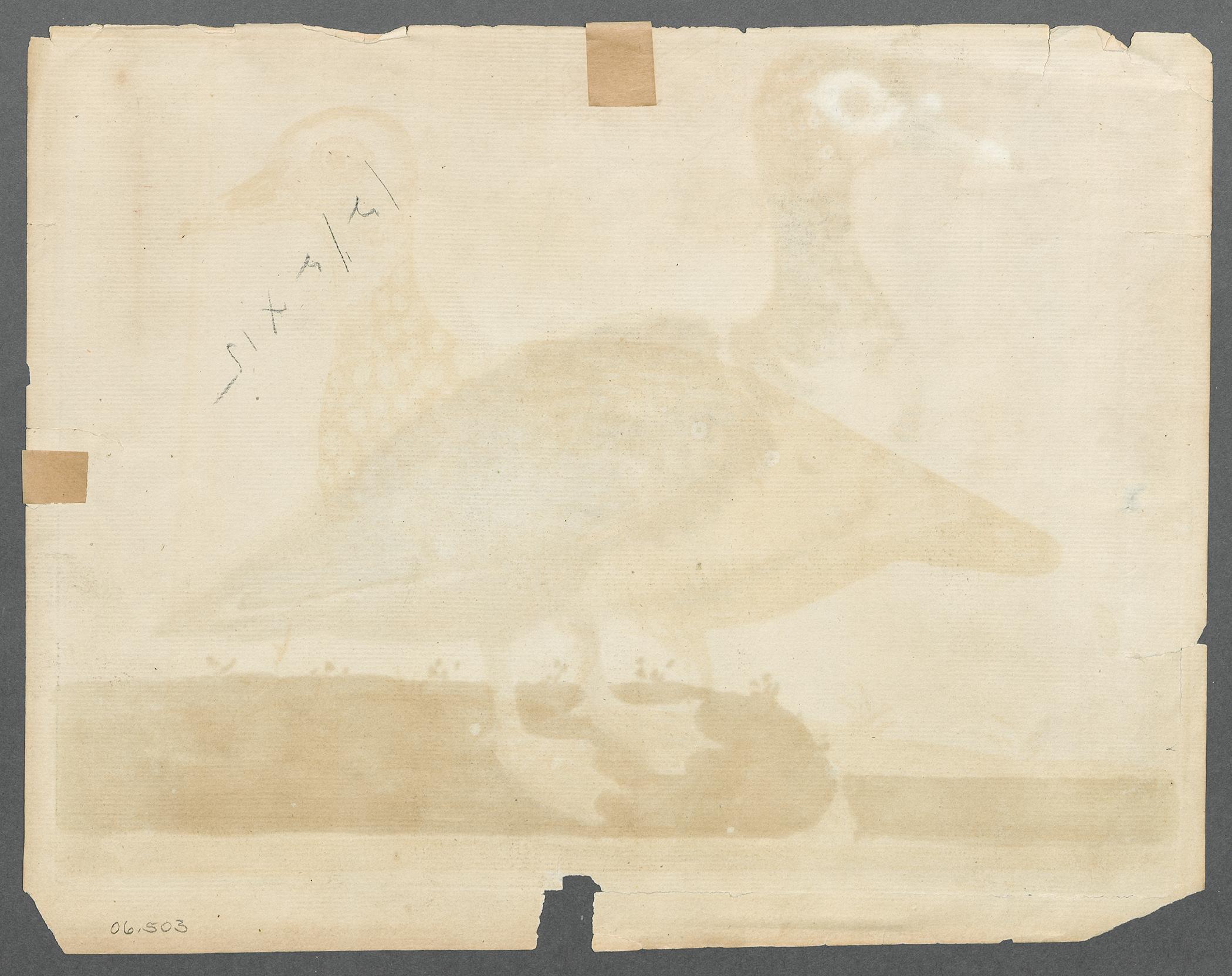 2006.0503 Print, view 2, reverse