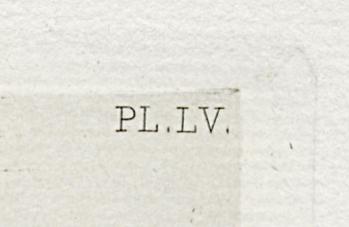1969.0211.011 Print, Detail 4