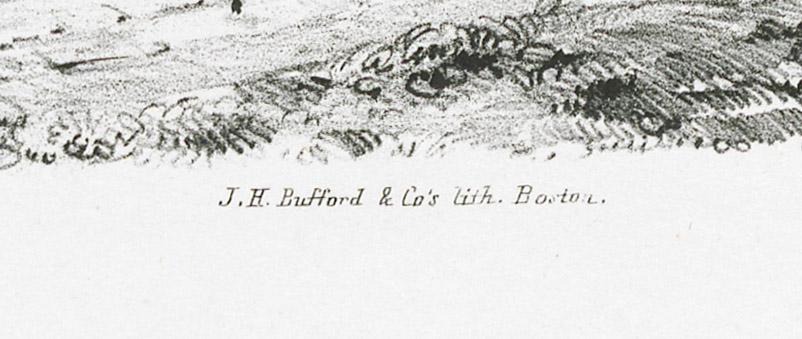 1978.0086 Print, detail
