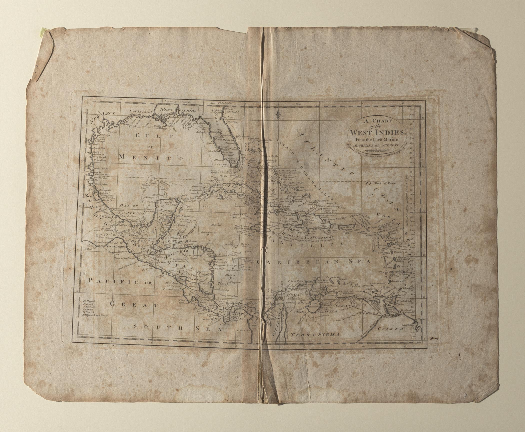 1954.0026.008 Map, view 2, raking light