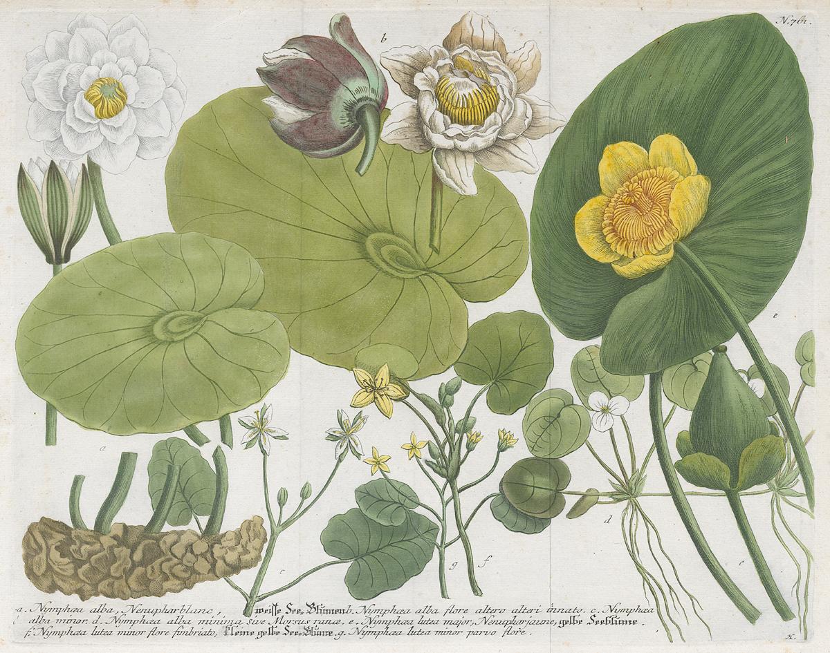 2006.0019 Print, View 2