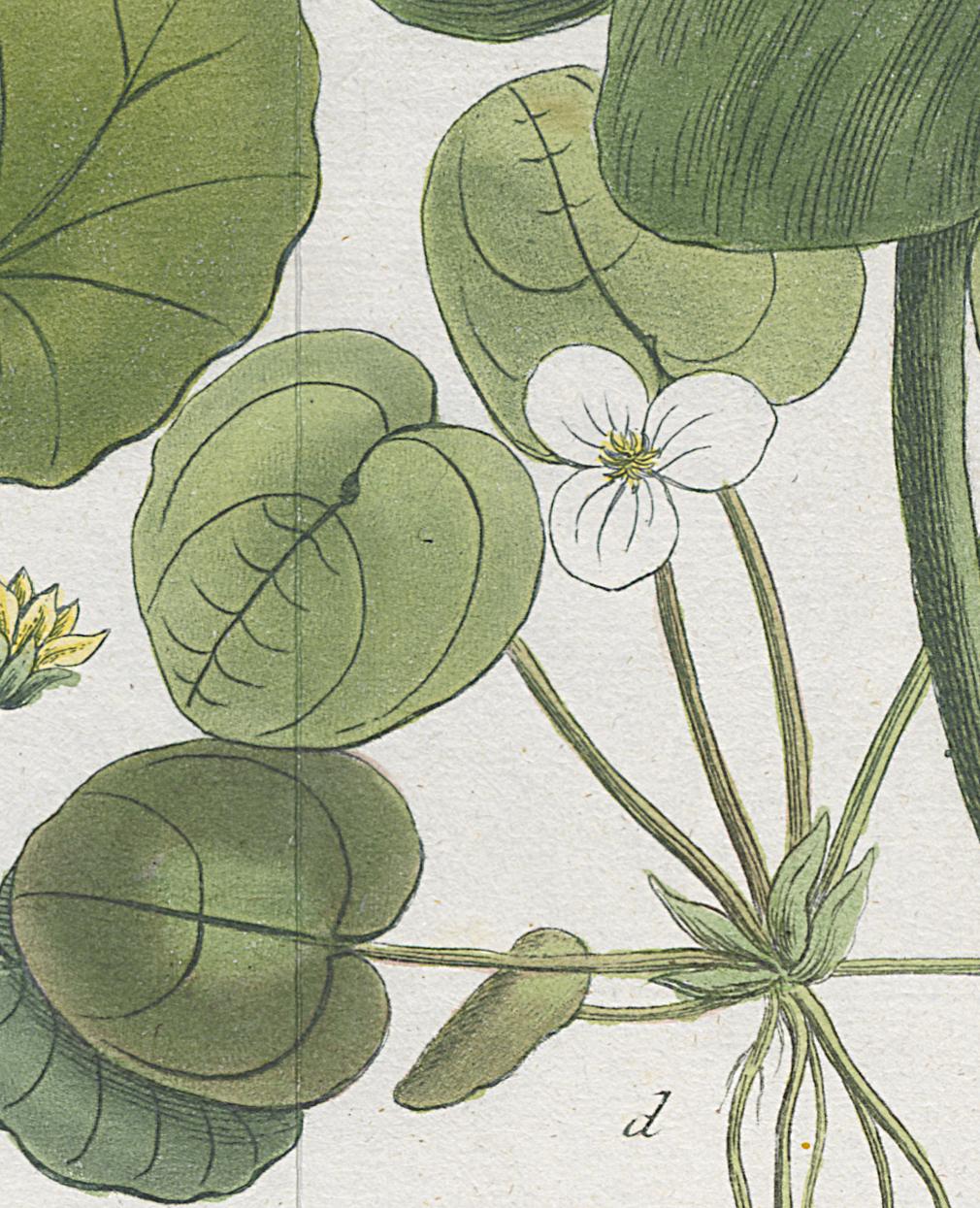 2006.0019 Print, Detail 11