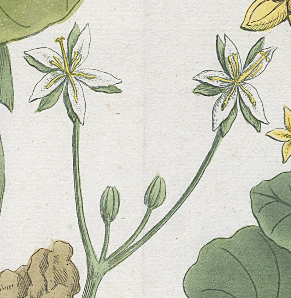 2006.0019 Print, Detail 13