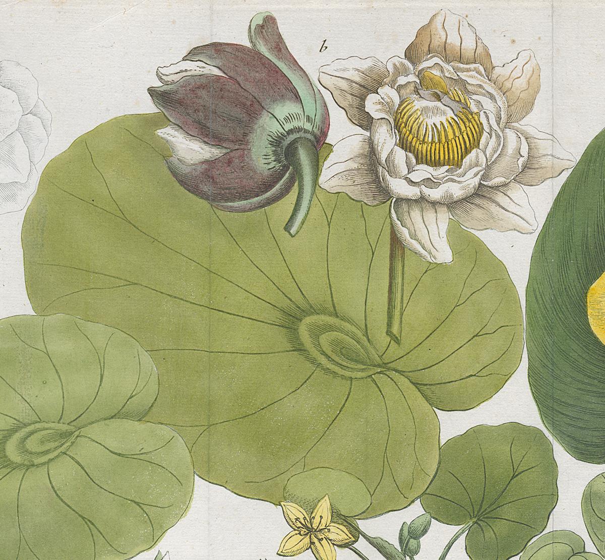 2006.0019 Print, Detail 2