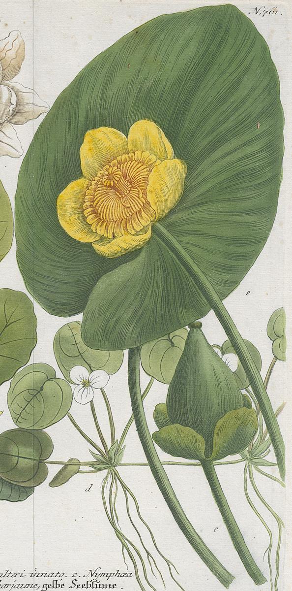 2006.0019 Print, Detail 3