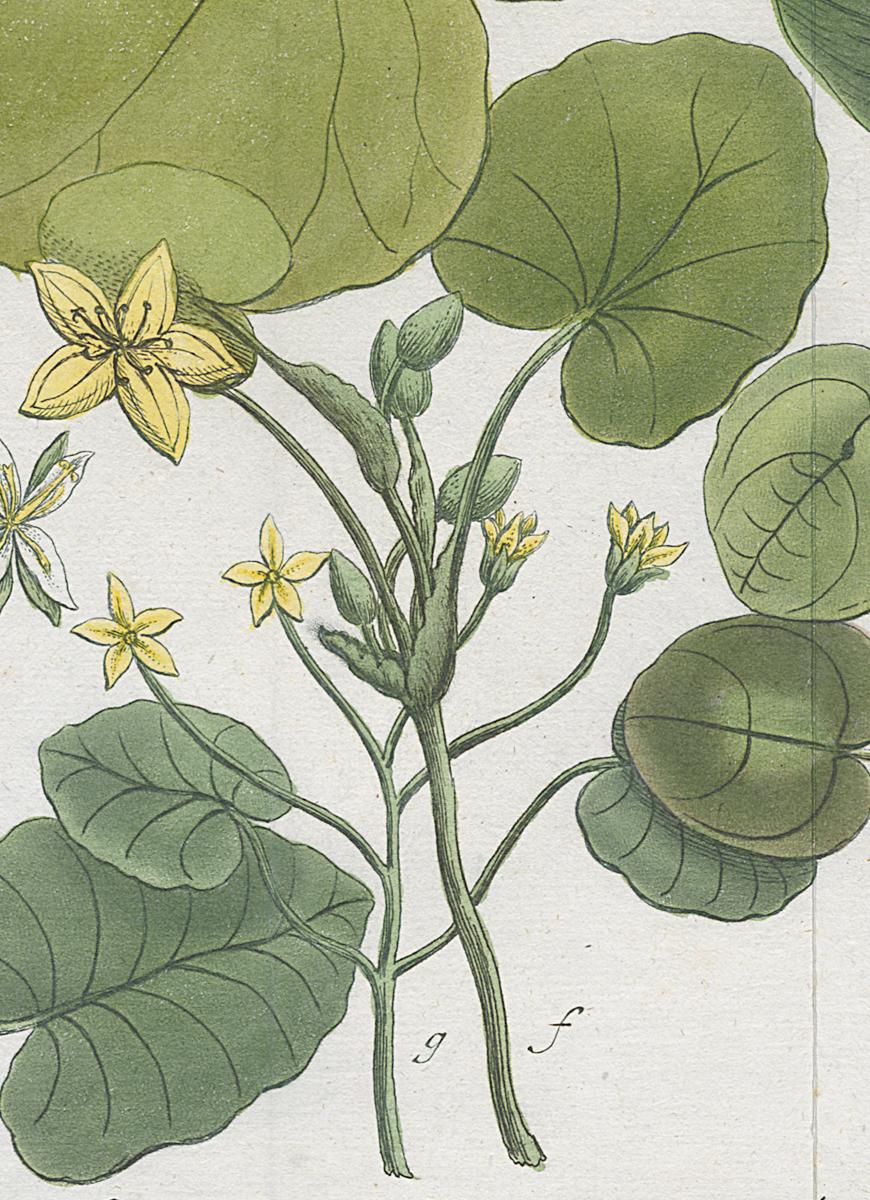 2006.0019 Print, Detail 5