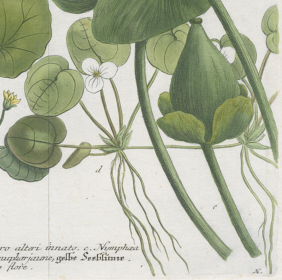 2006.0019 Print, Detail 6