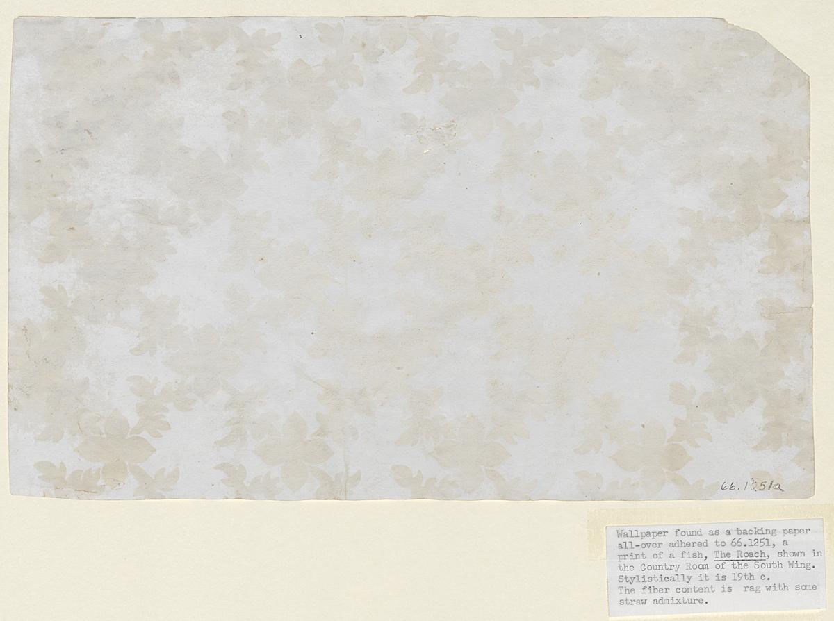 1966.1251 C Wall Covering