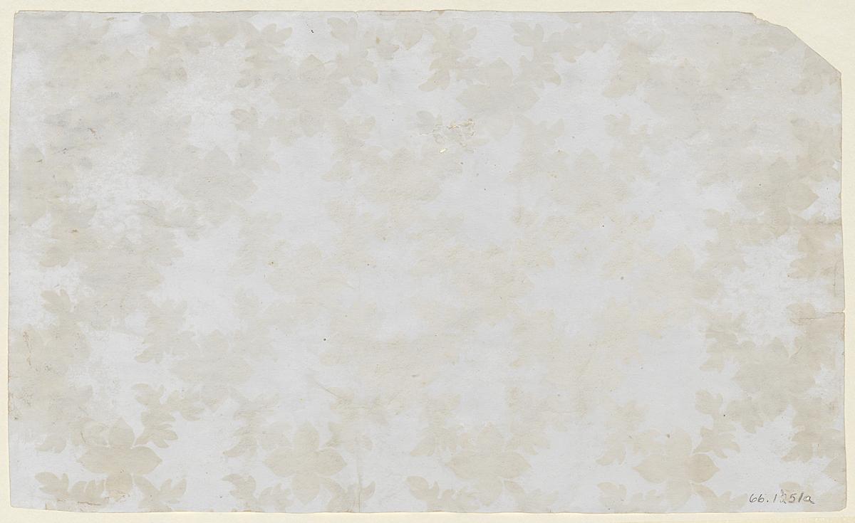 1966.1251 C Wall Covering, View 2