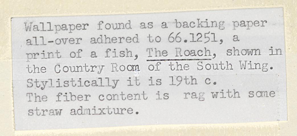 1966.1251 C Wall Covering, Detail 3