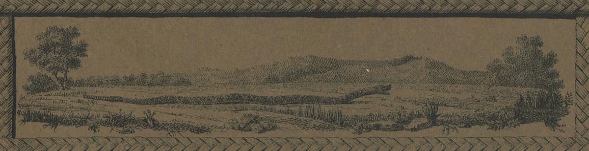 1965.1200 Print, detail 4