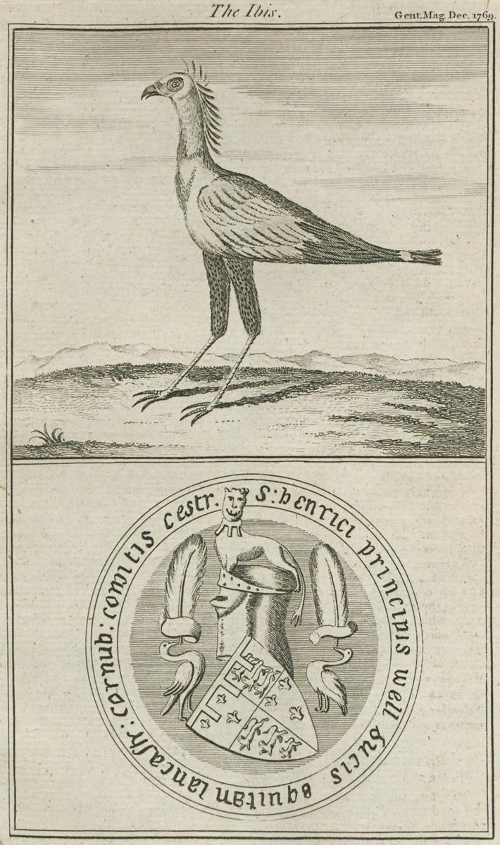 1982.0310 C Print, image