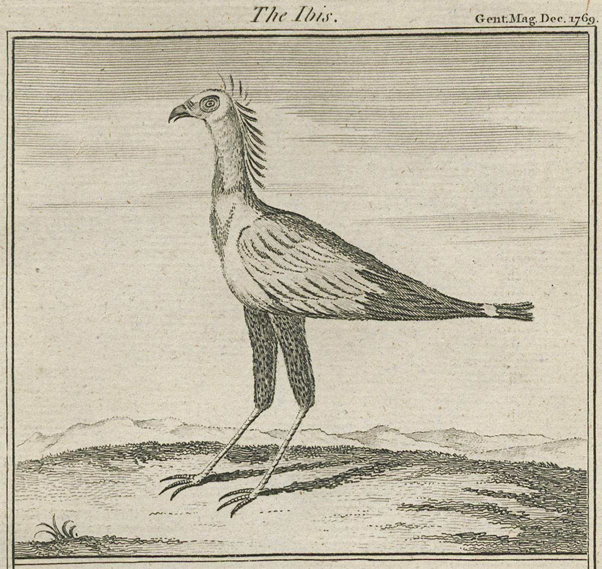 1982.0310 C Print, detail 1