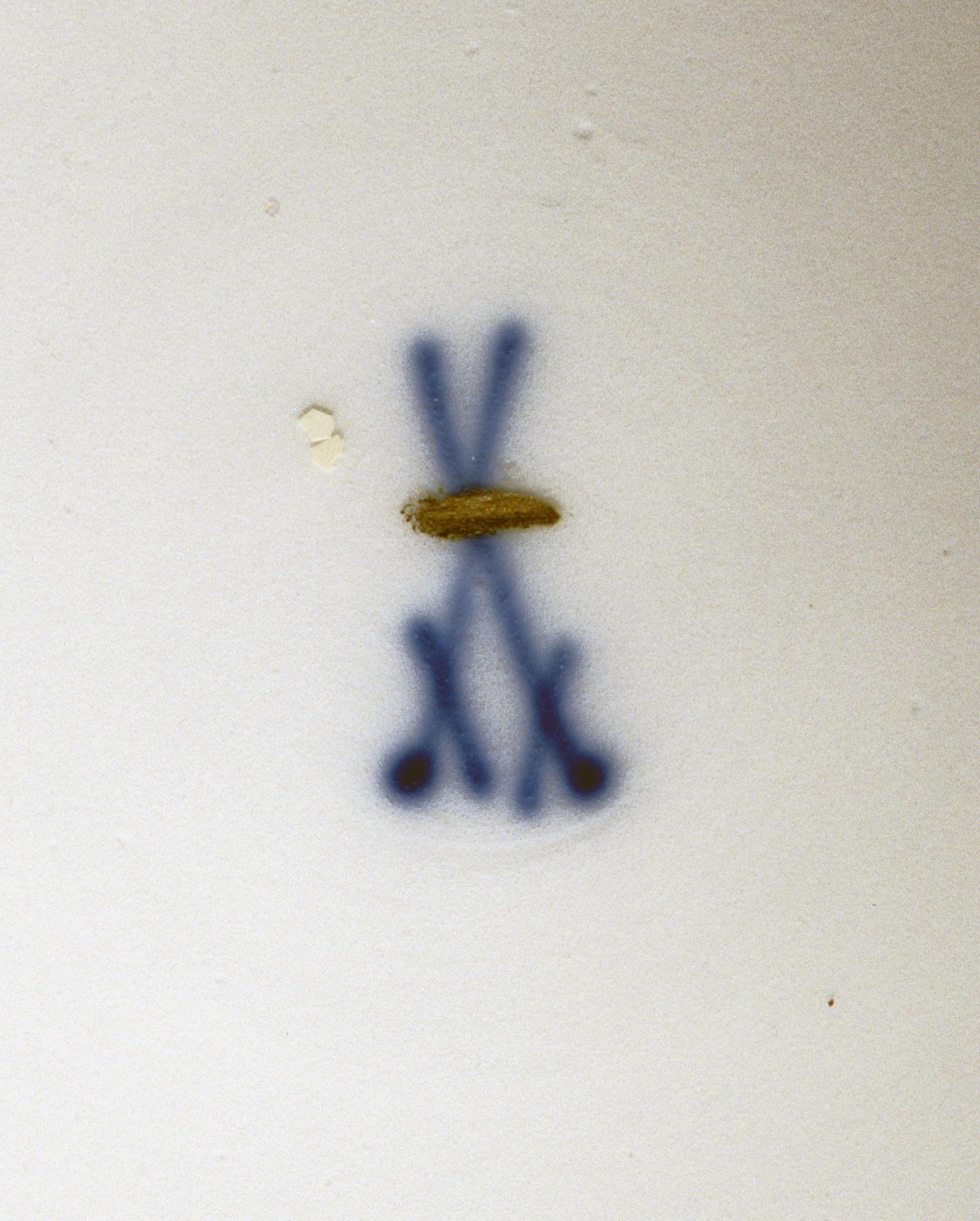 1996.0004.089 A-C Ecuelle (detail)