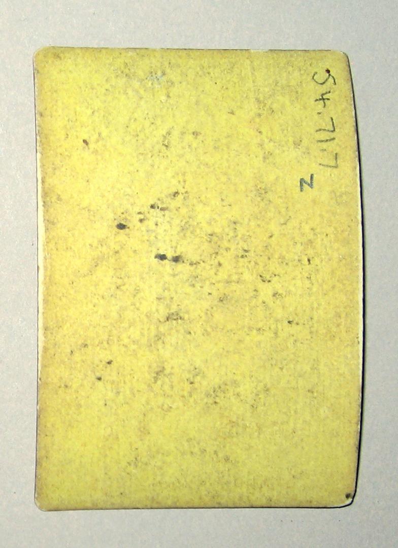 1954.0071.007 Z Playing card reverse