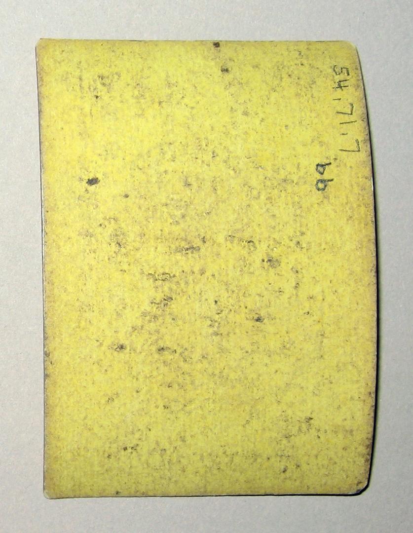 1954.0071.007 BB Playing card reverse