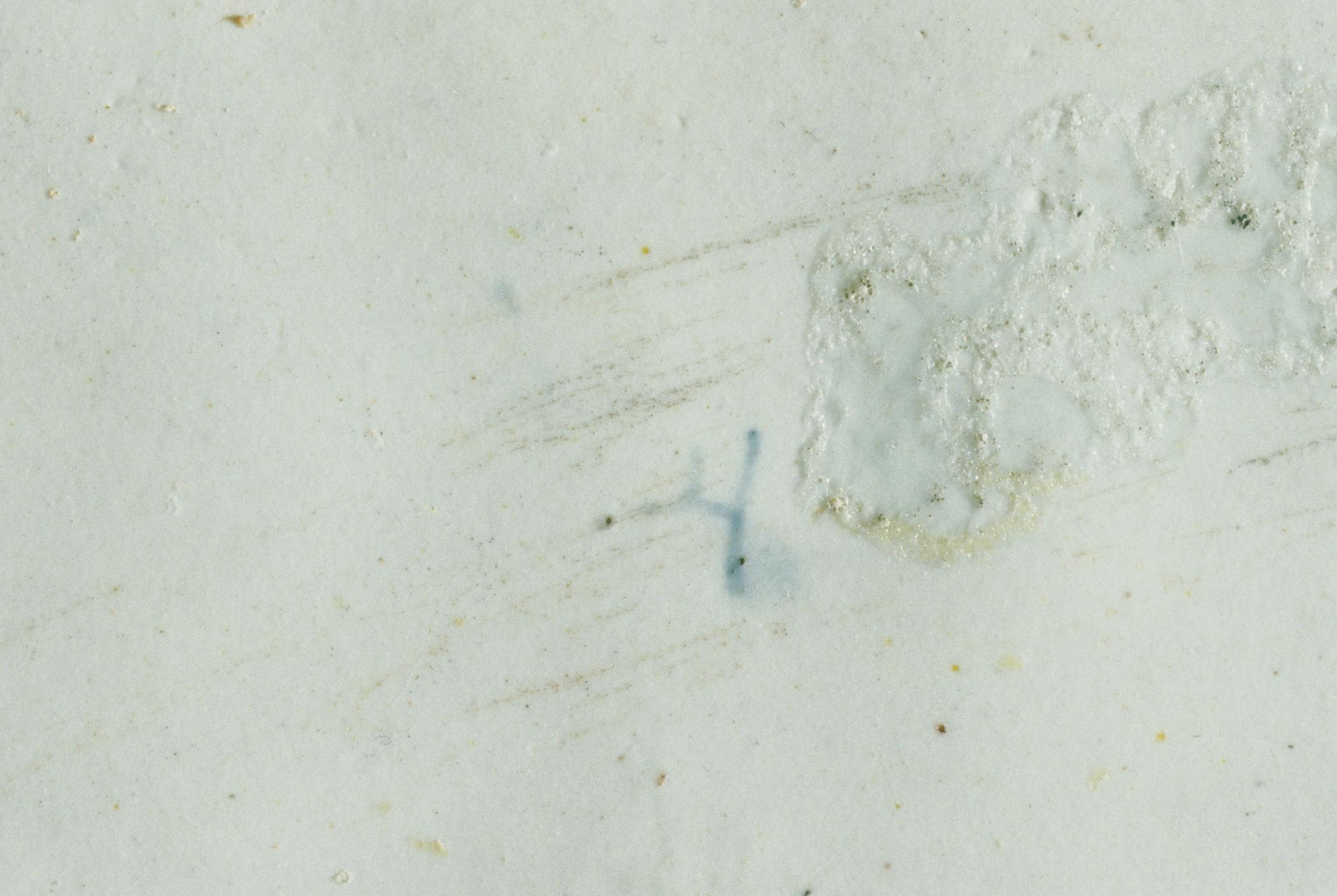 1996.0004.098 A-C Tureen (detail 1)