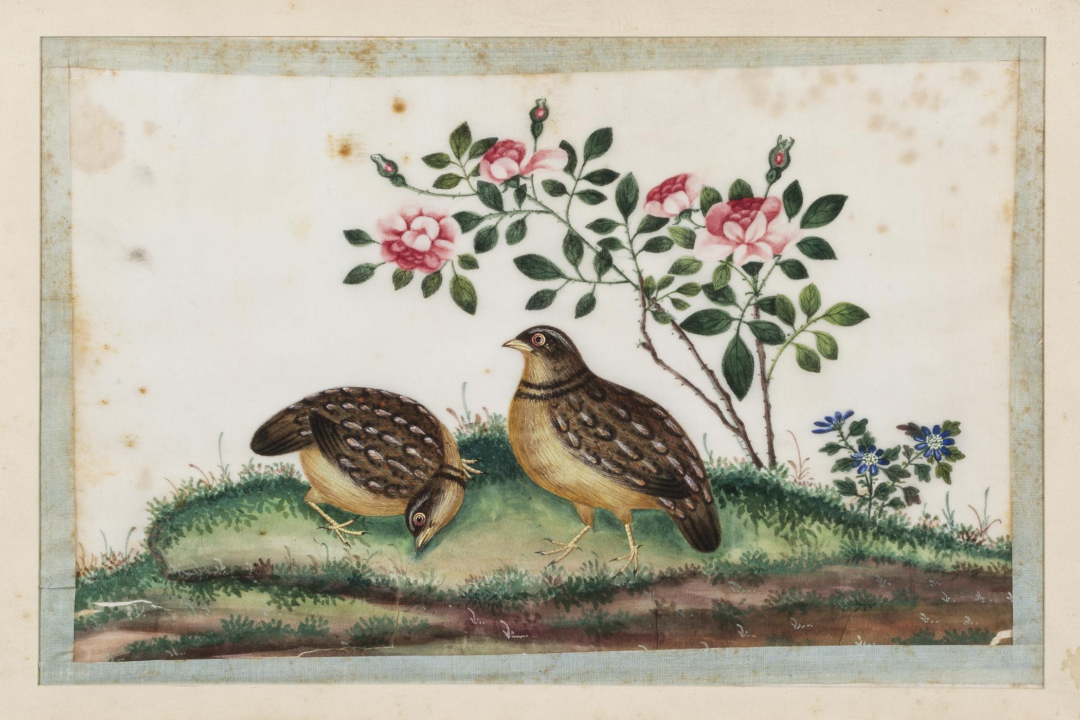 1961.0417 Watercolor, view 1