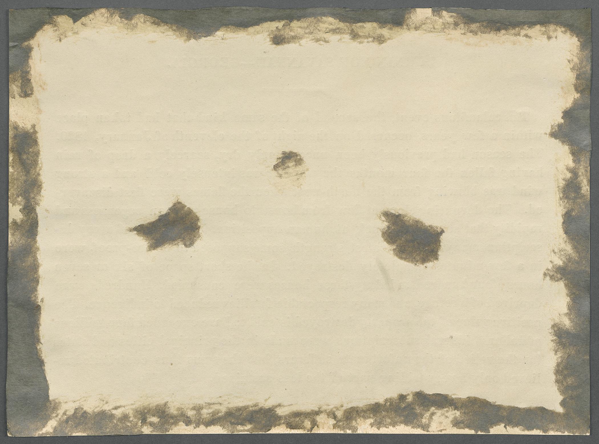 1969.0413.004 C Label, view 2, reverse