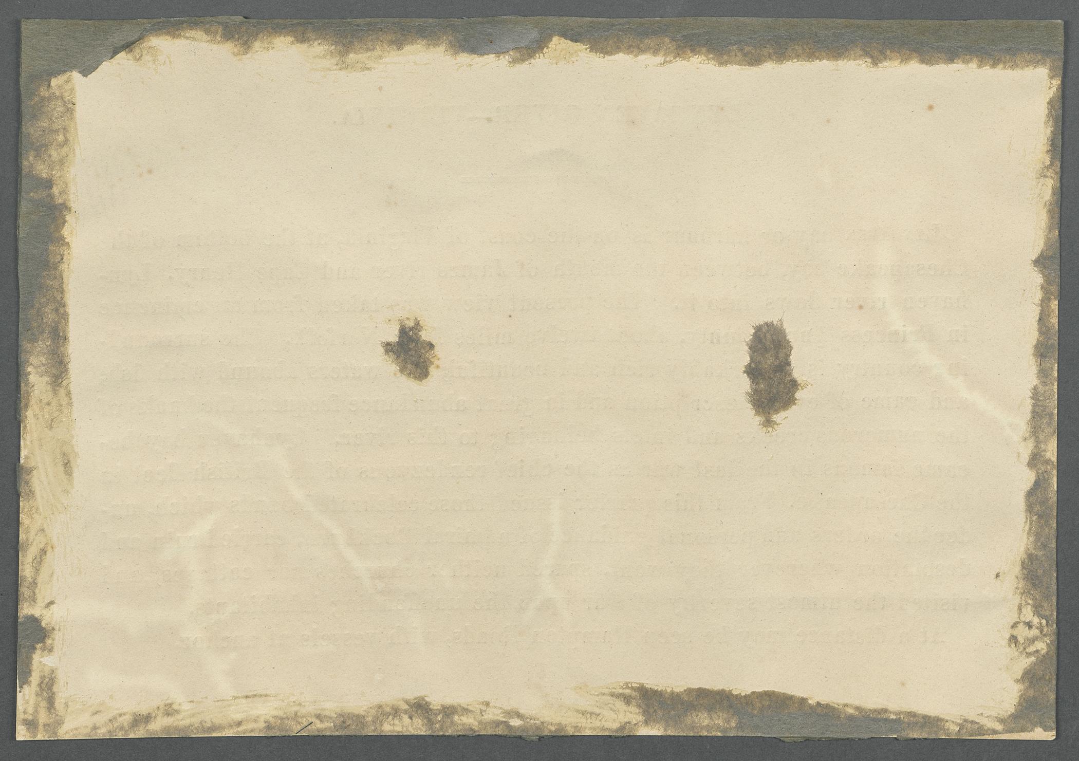 1969.0413.009 C Label, view 2, reverse