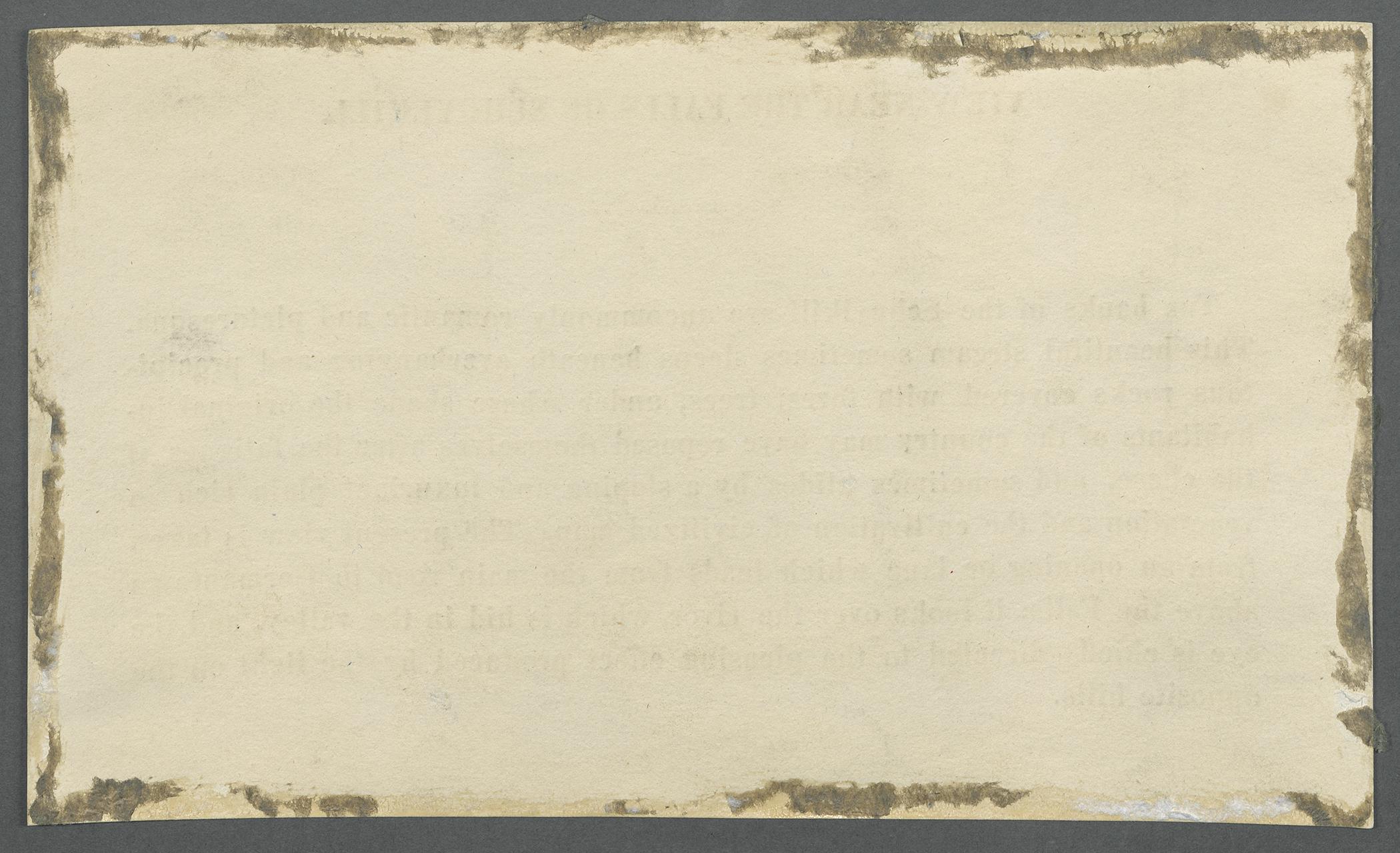 1969.0413.014 C Label, view 2, reverse