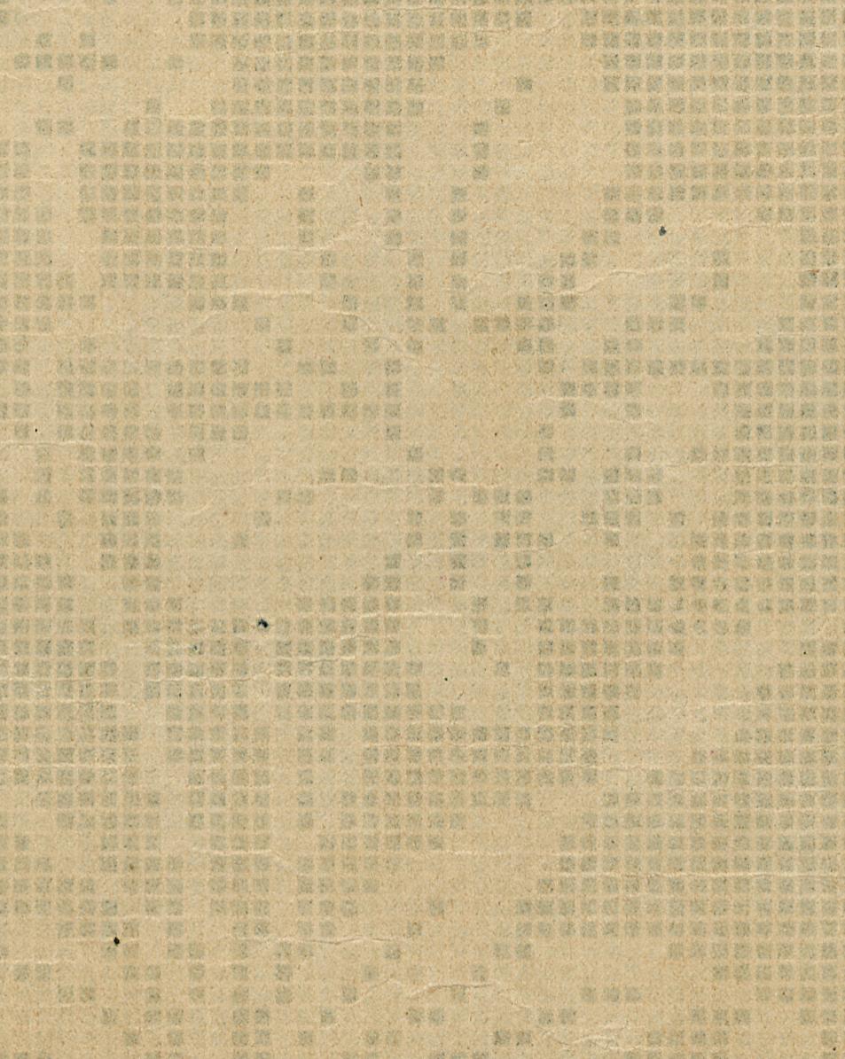2004.0071.113 Pattern Verso Detail