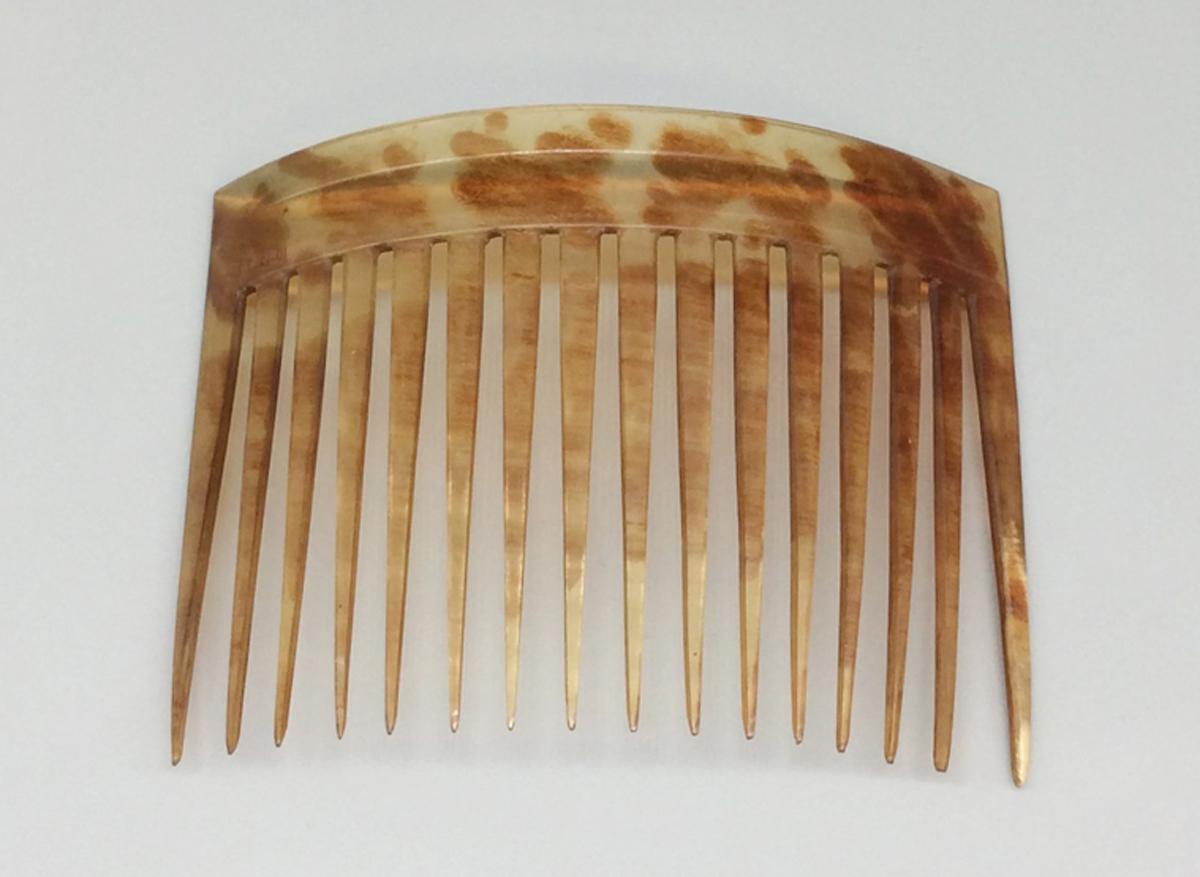 2010.0012.022 Comb, view 1
