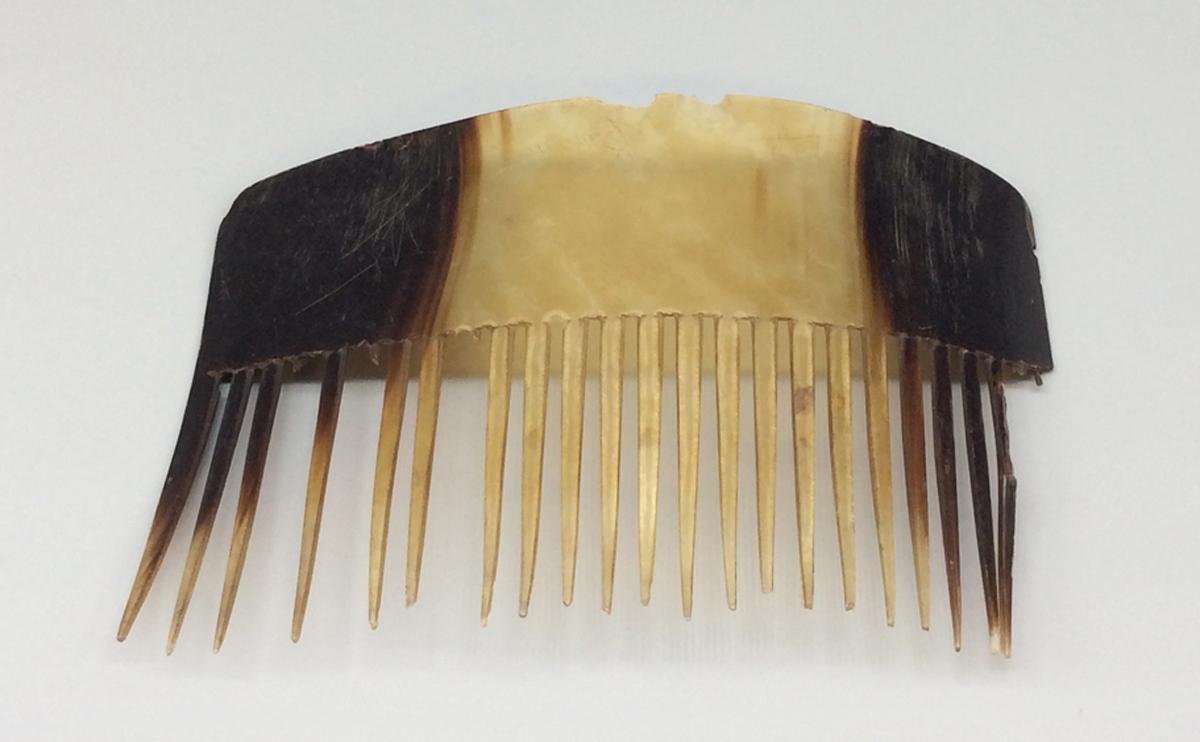 2010.0012.023 Comb, view 1